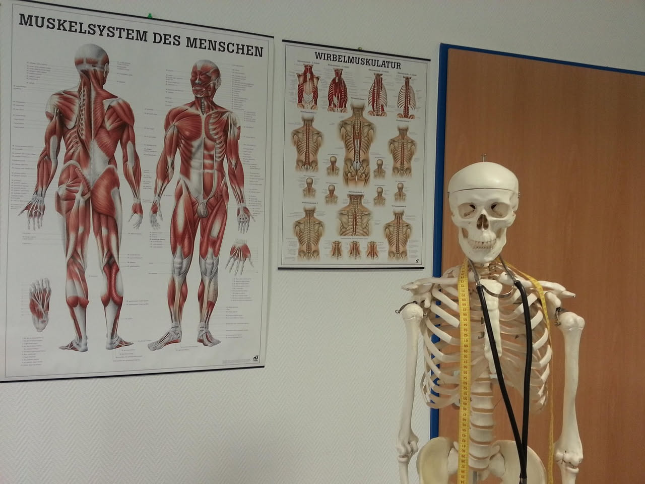 IA per studenti di medicina: come usarla nello studio anatomico