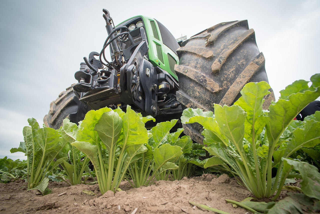 Intelligenza artificiale in agricoltura: dieci usi concreti per le aziende italiane