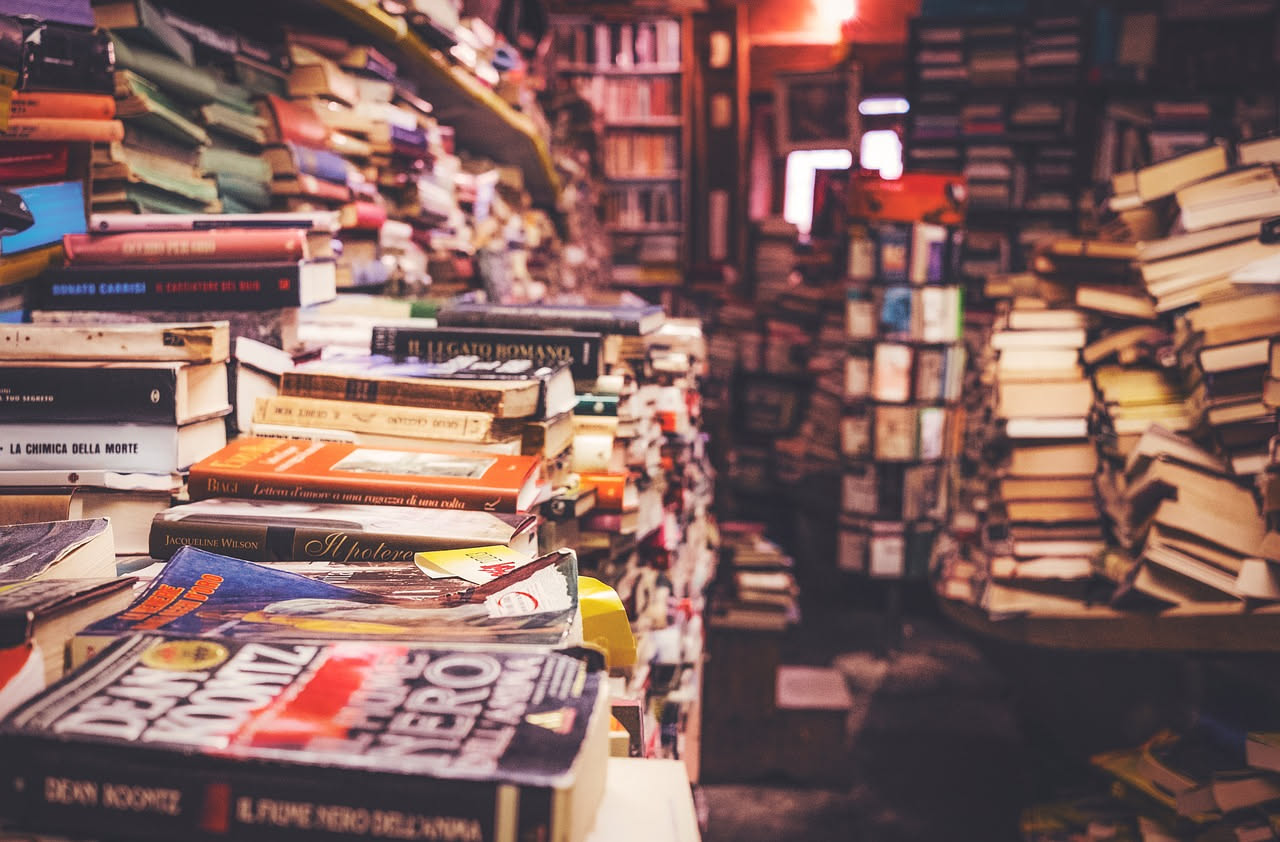 Libreria indipendente a Lucca: come l'AI costruisce il piano commerciale