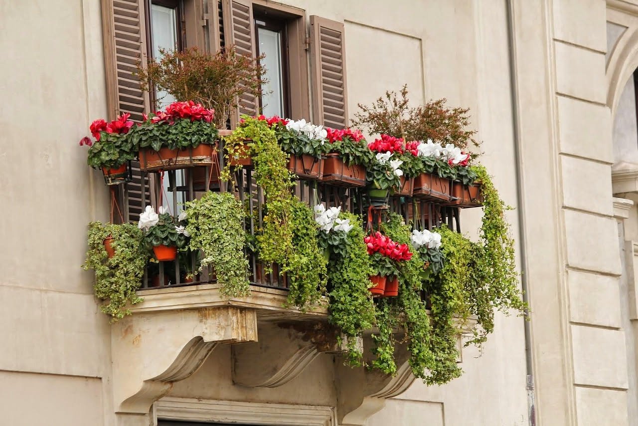 Smartphone con schermata di chat con un'IA, accanto a vasetti di terracotta con piantine di basilico e pomodori ciliegini su un balcone soleggiato con vista su una città italiana